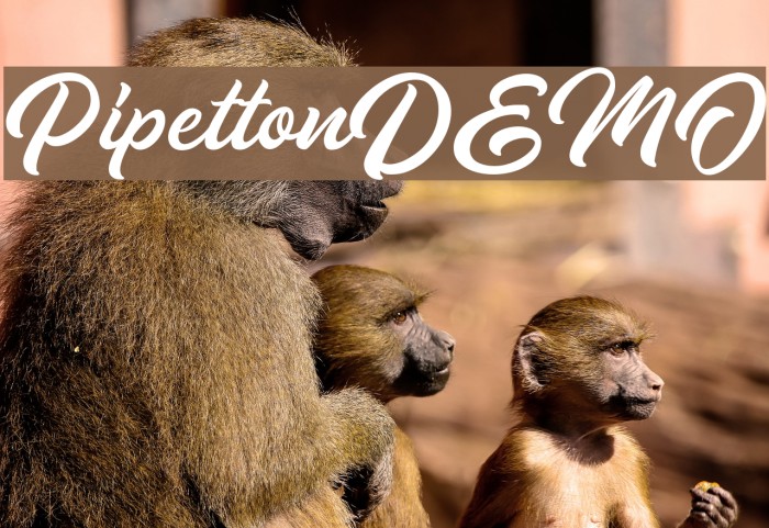 PipettonDEMO Example 3