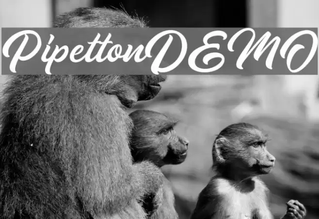 PipettonDEMO Font examples