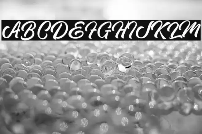 PipettonScriptRegularDemo Font examples