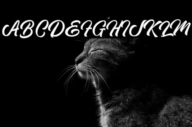 PipettonScriptRegularDemo Font examples