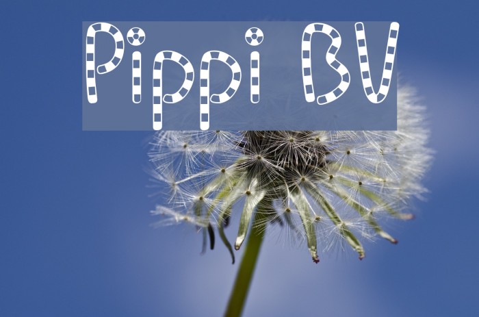 Pippi BV Font examples