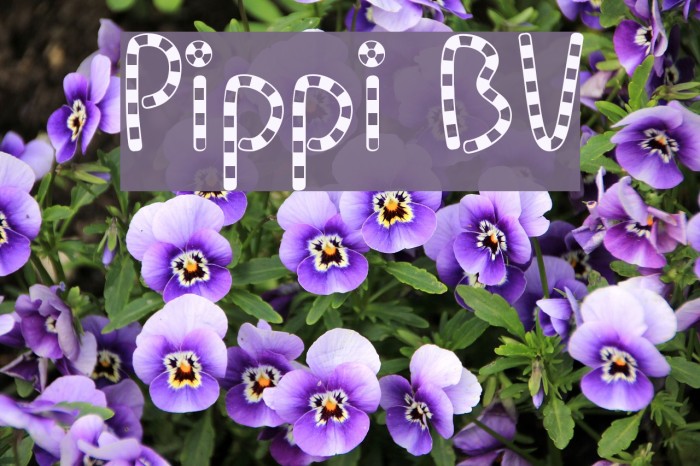 Pippi BV Font examples