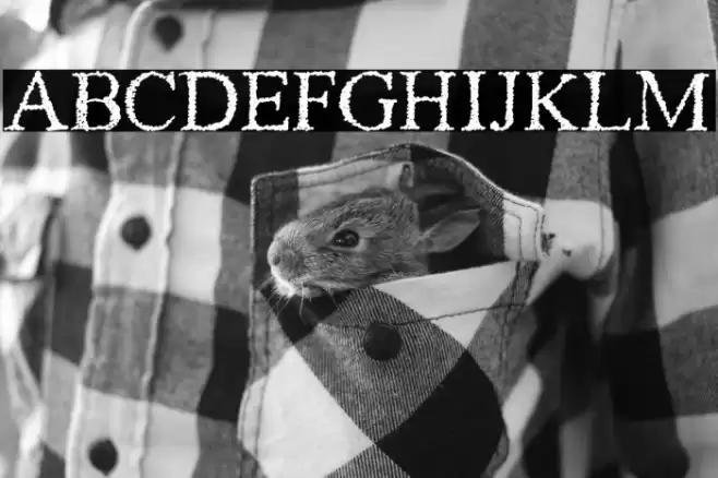 Piracy Font examples