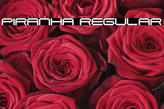Piranha Regular Example 2