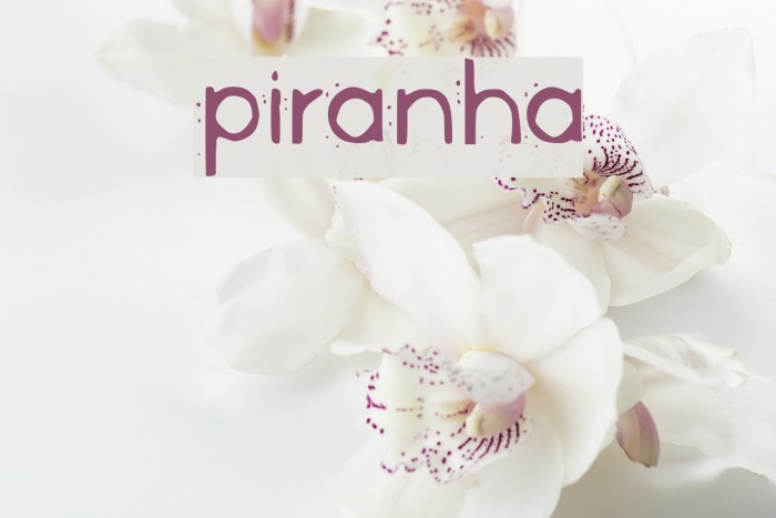 Piranha Font examples