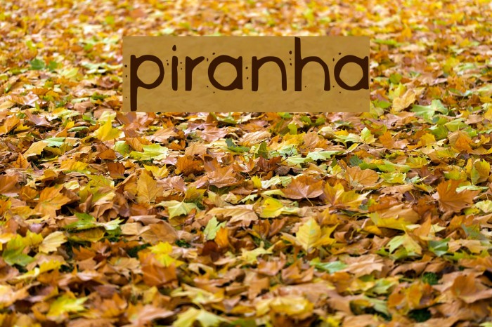Piranha Font examples