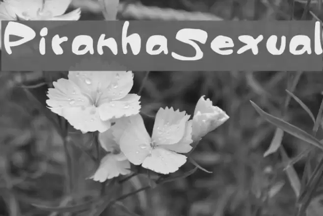 PiranhaSexual Font examples