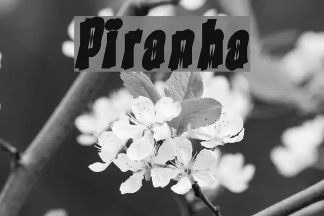 Piranha Fuentes examples