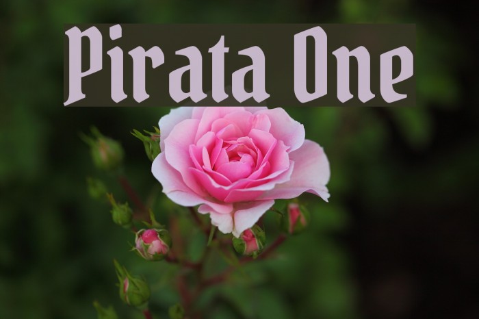 Pirata One Font examples