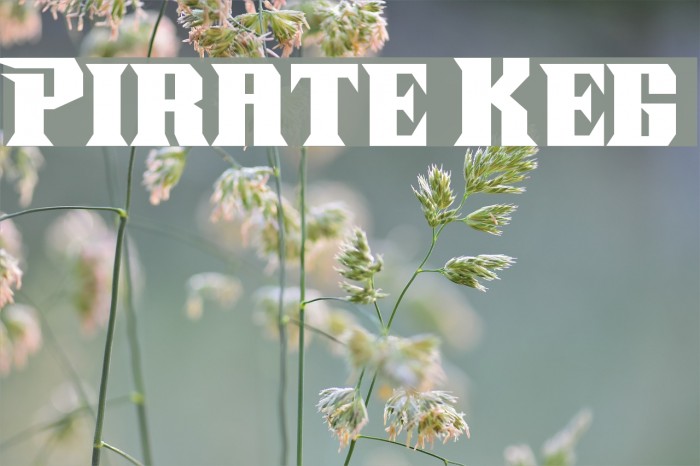 Pirate Keg Font examples