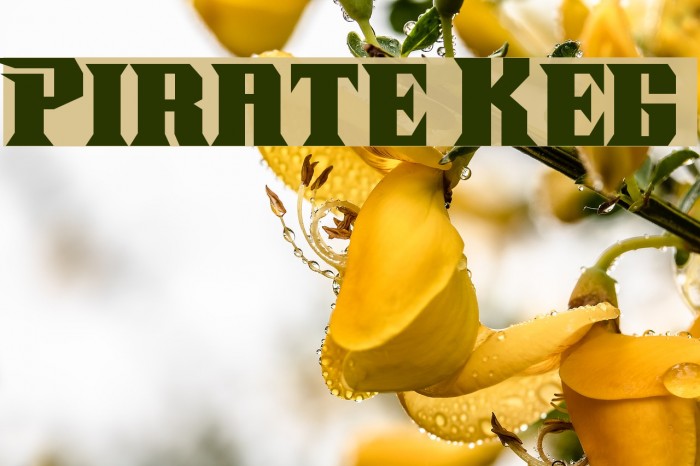 Pirate Keg Font examples