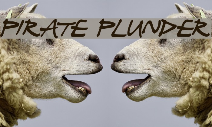 Pirate Plunder Font examples