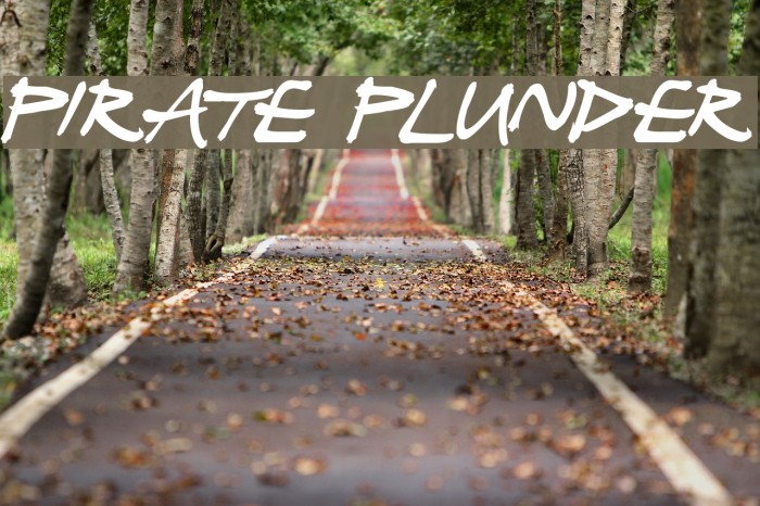 Pirate Plunder Font examples