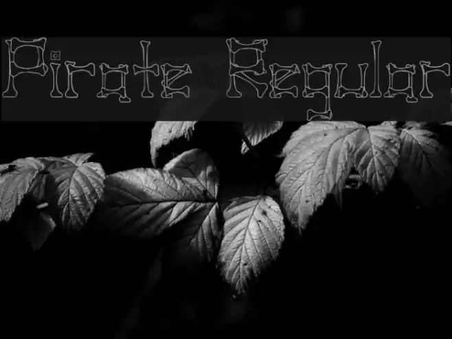 Pirate Regular Font examples