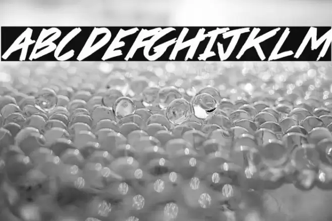 Pirate Scripts Font examples