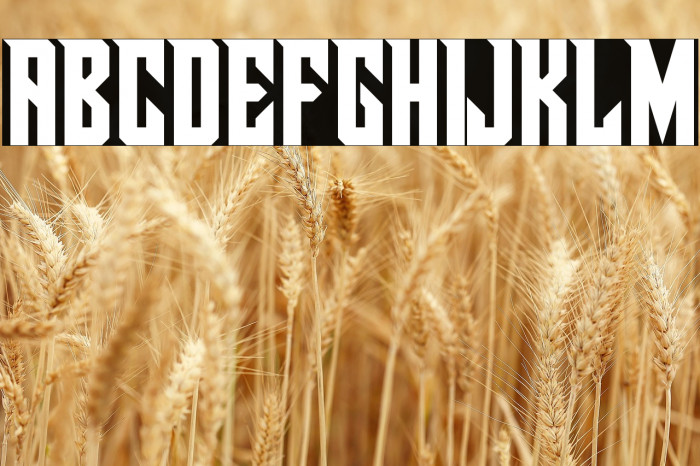 Pirate Ship(RUS BY LYAJKA) Example 3