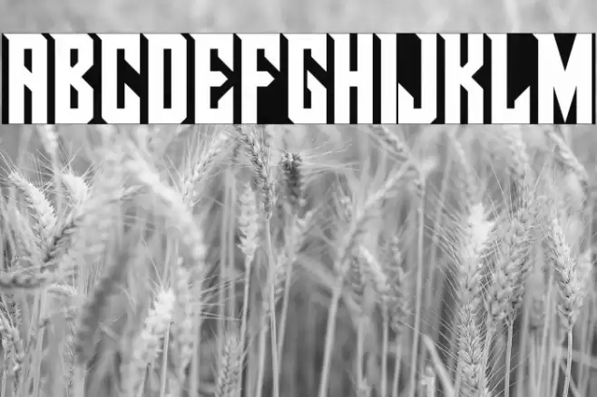 Pirate Ship(RUS BY LYAJKA) Font examples