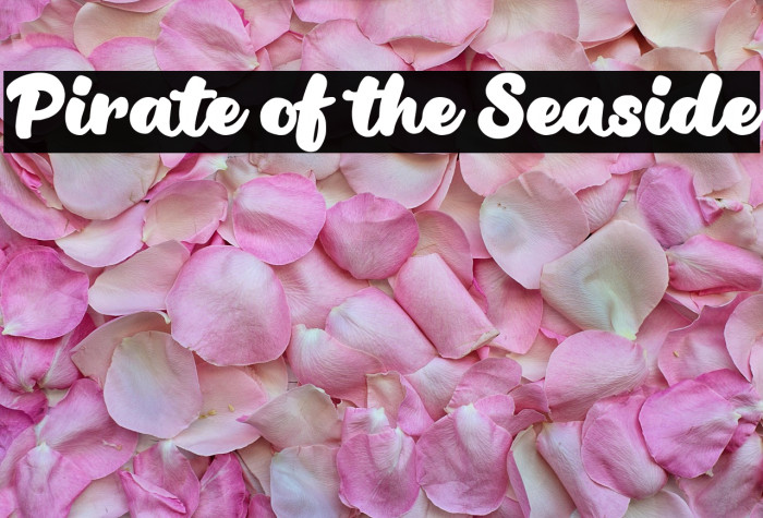 Pirate of the Seaside Example 2