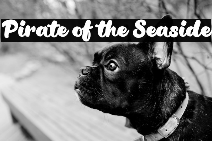 Pirate of the Seaside Example 3