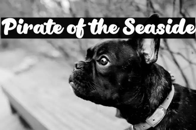 Pirate of the Seaside Font examples