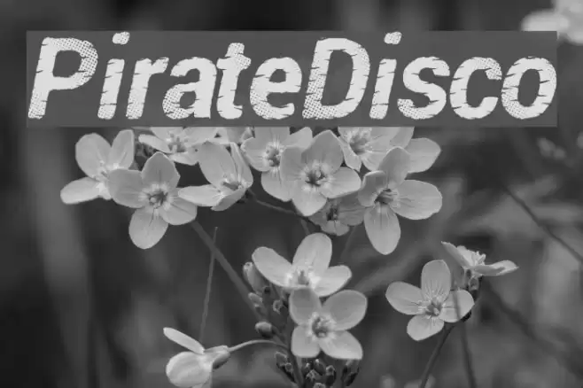PirateDisco フォント examples