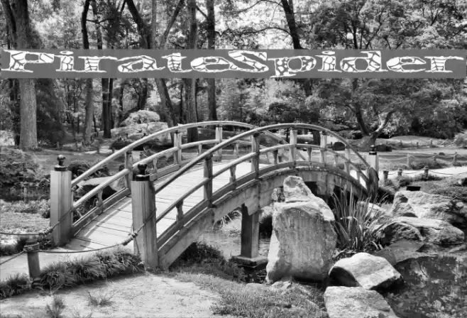 PirateSpider Font examples