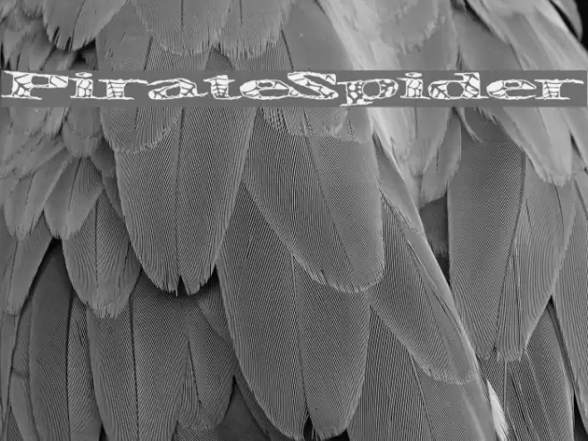 PirateSpider Font examples