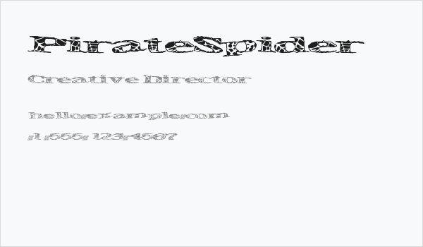 PirateSpider Business Card