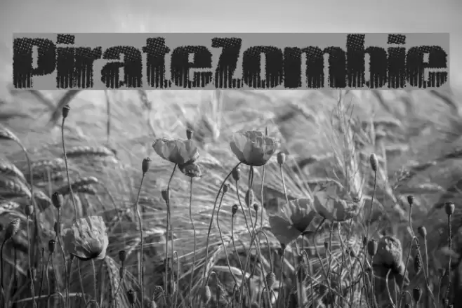 PirateZombie Font examples