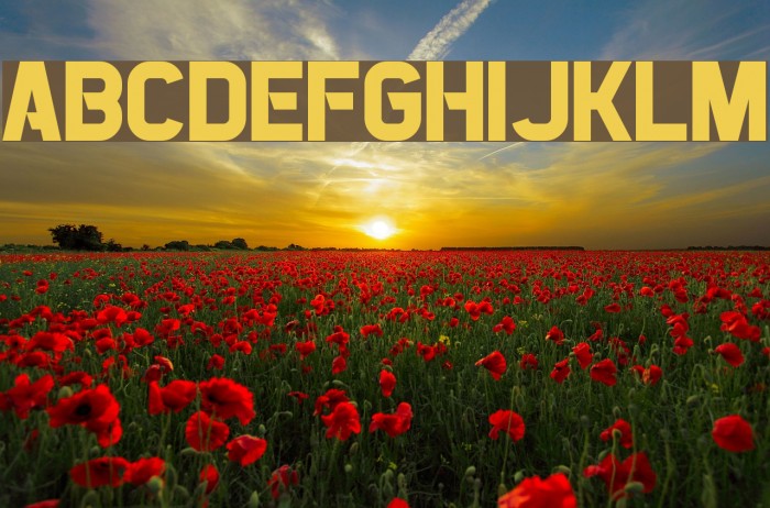 Pirates of Cydonia Example 2