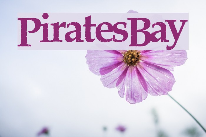 PiratesBay لخطوط تنزيل examples