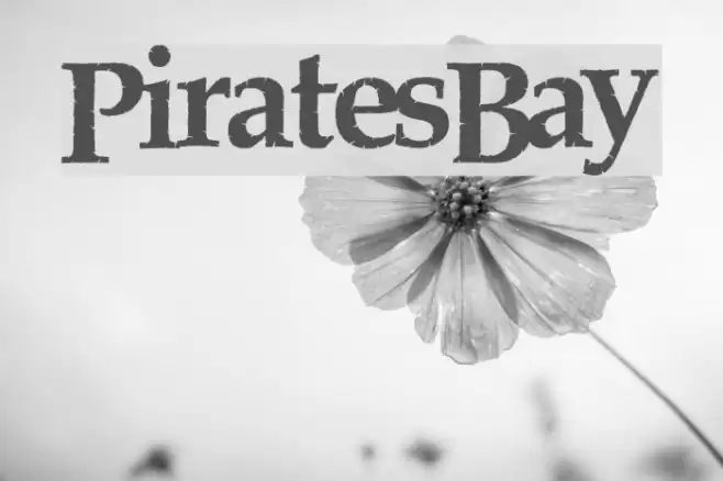 PiratesBay Font examples