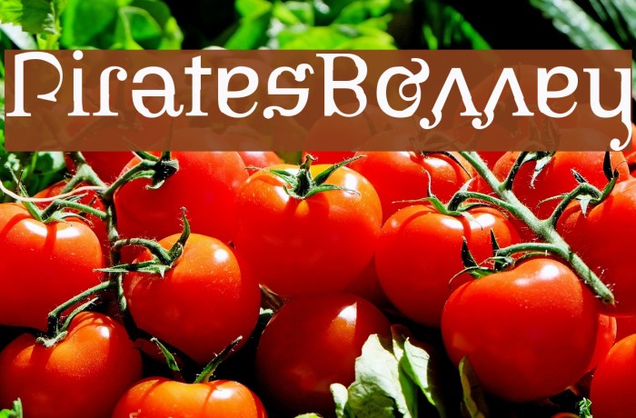 PiratesBonney Шрифта examples