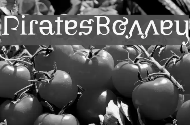 PiratesBonney Шрифта examples