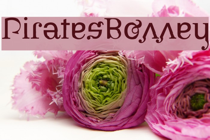 PiratesBonney Шрифта examples