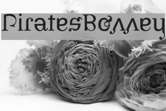 PiratesBonney Шрифта examples