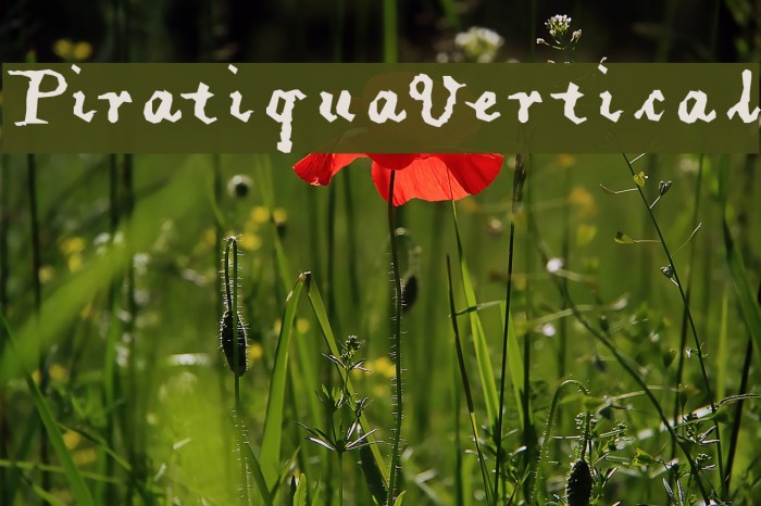 PiratiquaVertical Example 3