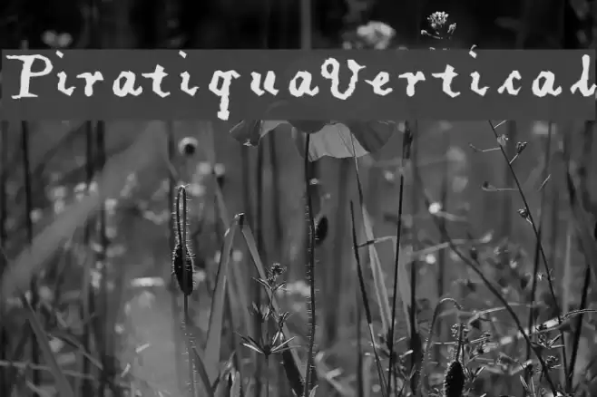 PiratiquaVertical Font examples