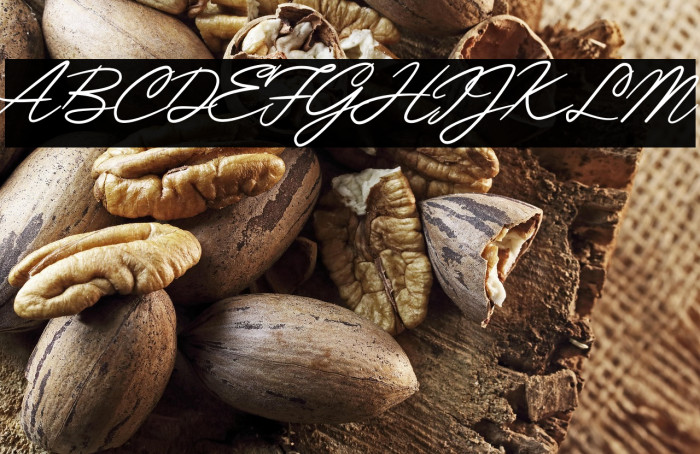 Piratte Diarys Example 1