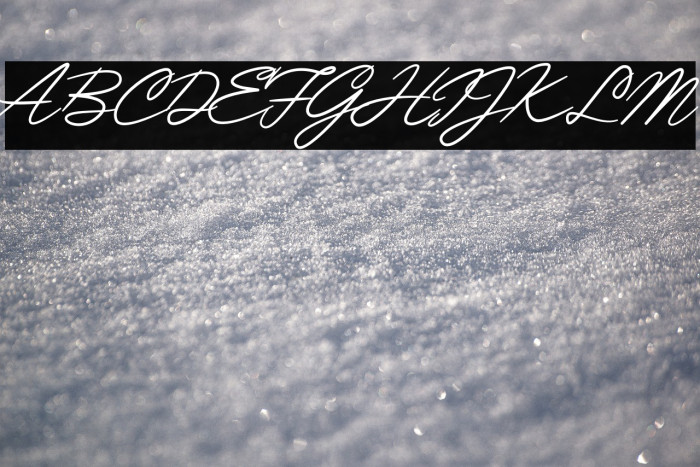 Piratte Diarys Example 2