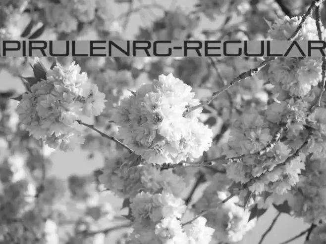 PirulenRg-Regular Font examples