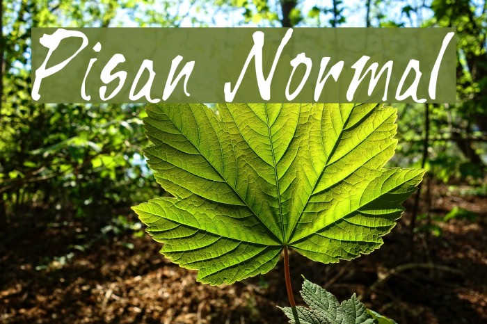 Pisan Normal Font examples