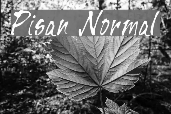 Pisan Normal Font examples