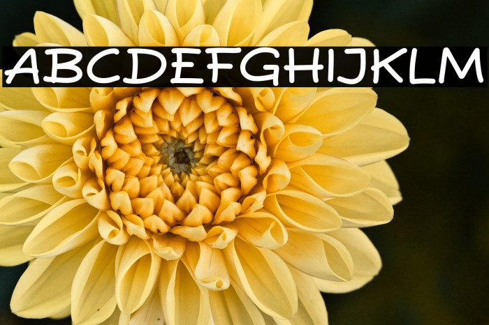 Pisang Lagi Example 2