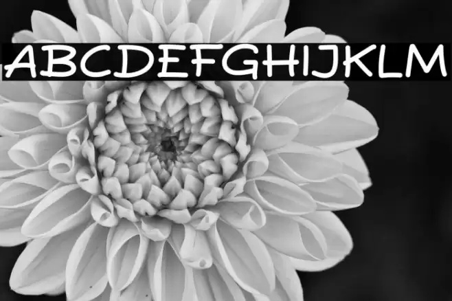 Pisang Lagi Шрифта examples