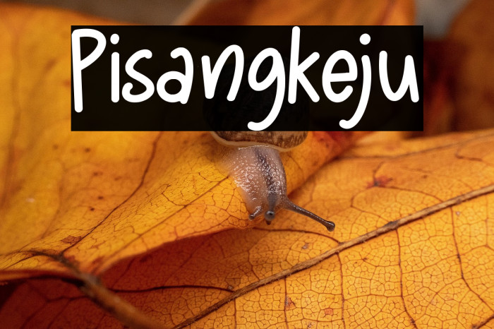 Pisangkeju Example 3