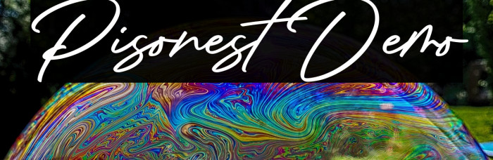 Pisonest Demo Example 1