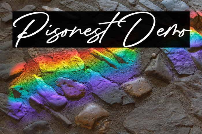 Pisonest Demo Example 2