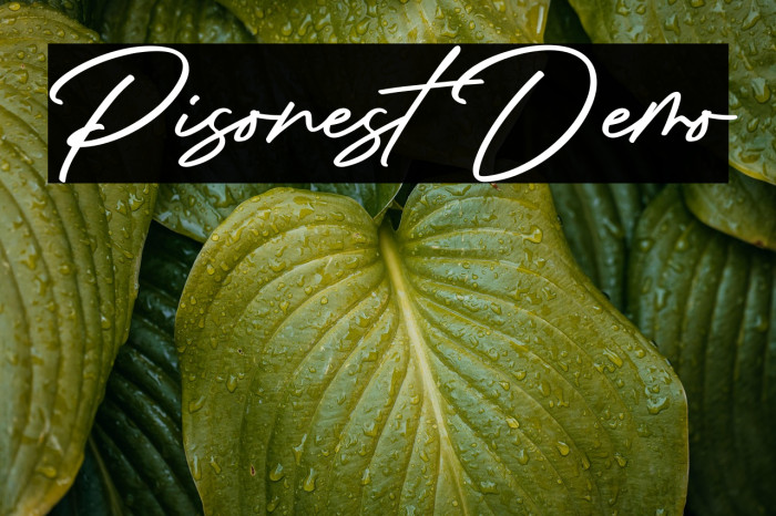 Pisonest Demo Example 3