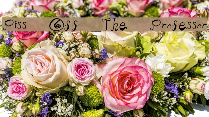 Piss Off The Professor Font examples